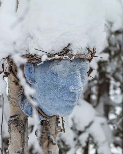 State of Mind in the woods